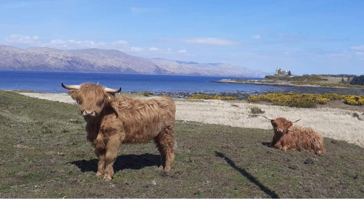 Ard Na Mara Self Catering Isle Of Mull Villa Dervaig Екстериор снимка